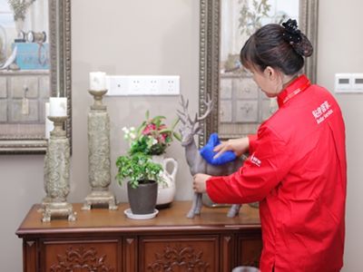 苏州地区招聘保洁保姆看护